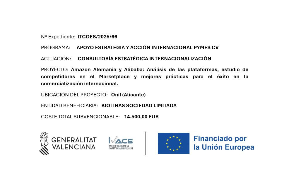 Subvención de IVACE para CONSULTORÍA ESTRATÉGICA E INTERNACIONALIZACIÓN